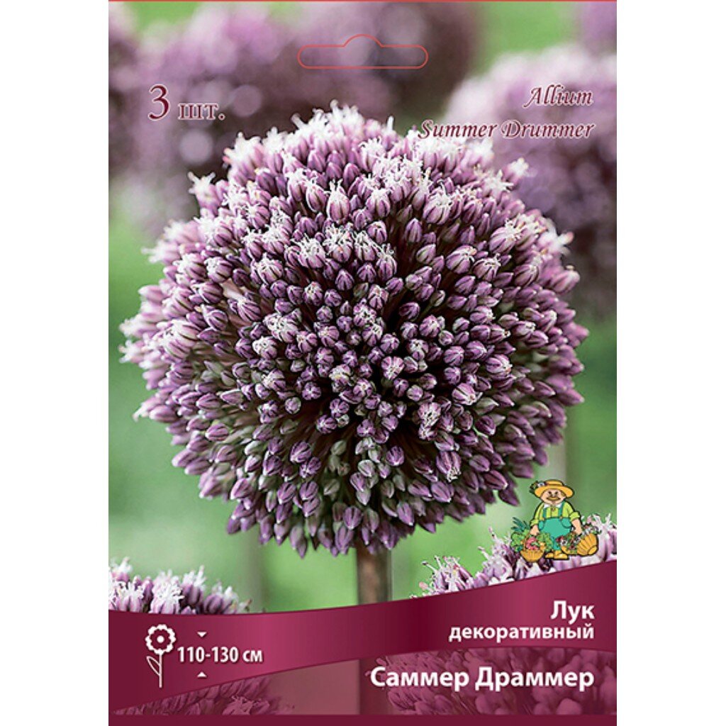 Луковицы Лук декоративный, Саммер Драммер, 10-12/К, 3 шт