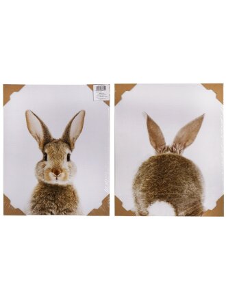 Картина комплект, холст, 48х39 см, H-1600S