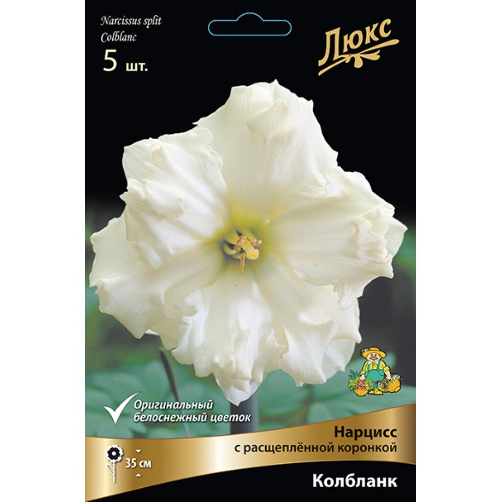 Луковицы Нарцисс с расщепленной коронкой, Колбланк, 12-14/К, 5 шт