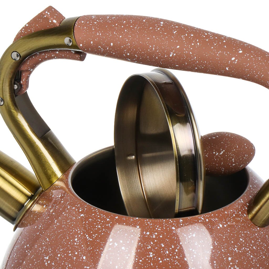 Чайник нержавеющая сталь, 3 л, со свистком, матовый, ручка с покрытием, нейлон, Daniks, индукция, коричневый, GS-04517H-2
