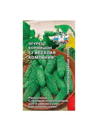 Веселая Компания F1