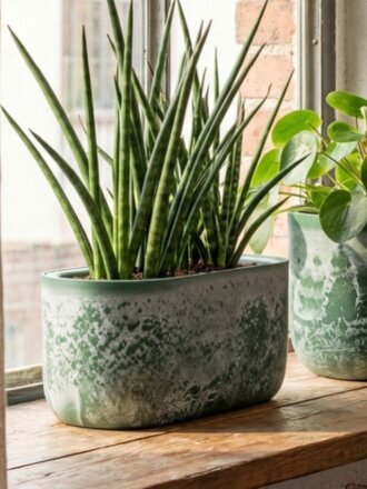 зеленый слайн