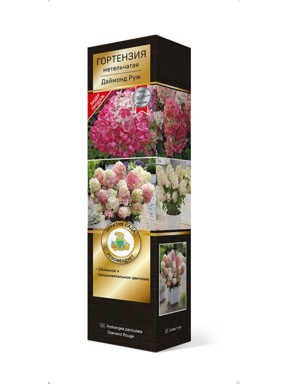 Саженцы Гортензия метельчатая, Даймонд Руж