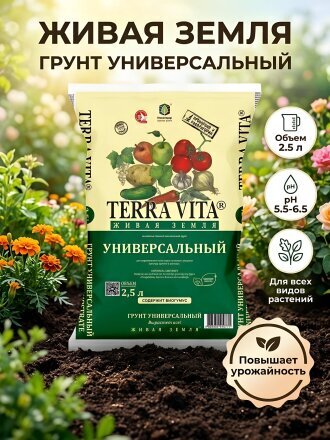 2.5 л