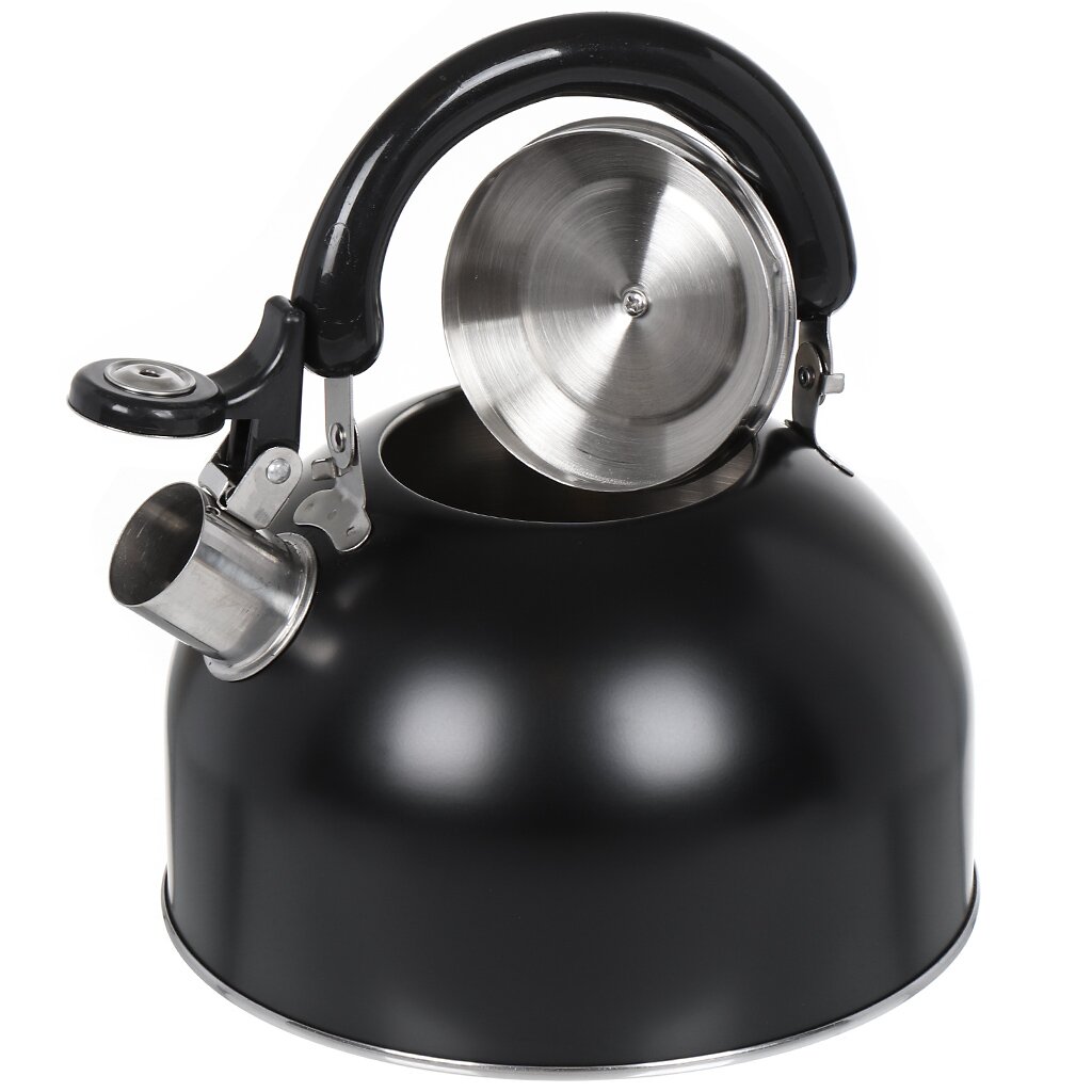 Чайник нержавеющая сталь, 2.5 л, со свистком, матовый, ручка металлическая, Daniks, черный, GS-04001