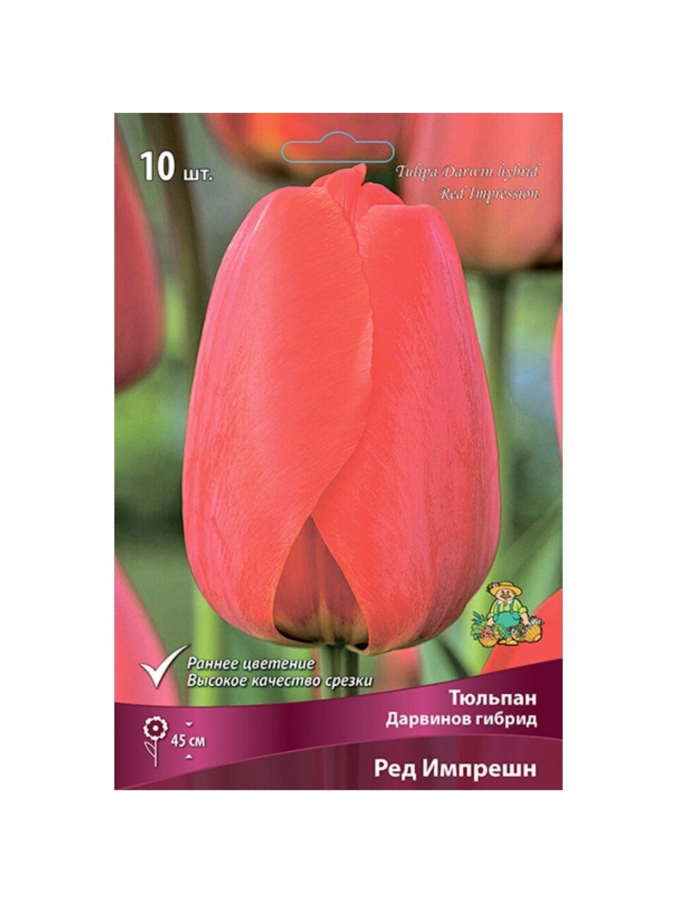Луковицы Тюльпан Дарвинов гибрид, Ред Импрешн, 11-12/К, 10 шт