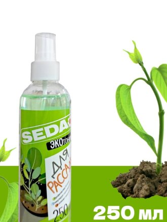 для рассады