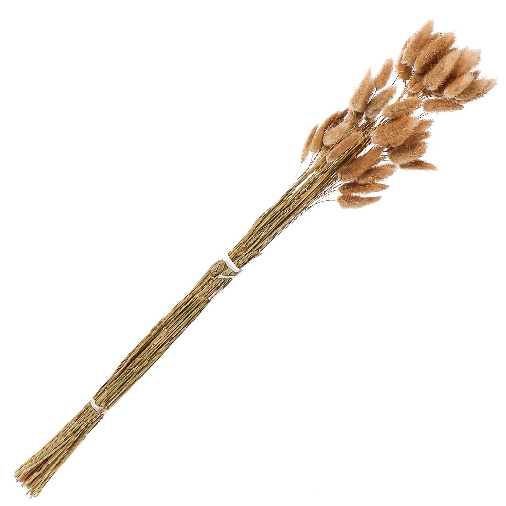 Цветок искусственный декоративный Колосья, 50-60 см, Y4-7968