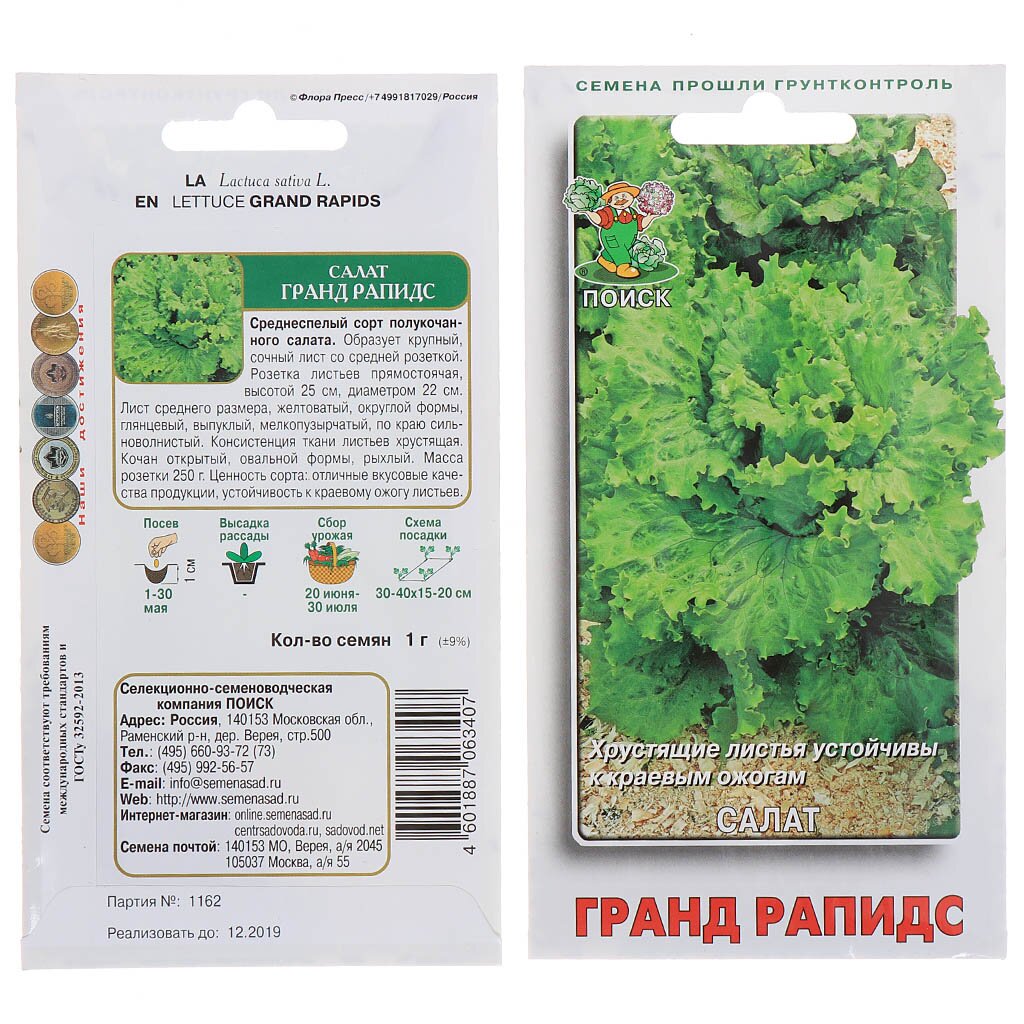 Семена Салат листовой, Гранд Рапидс, 1 г, цветная упаковка, Поиск семена салат листовой кружевница рубиновая 0 5 г