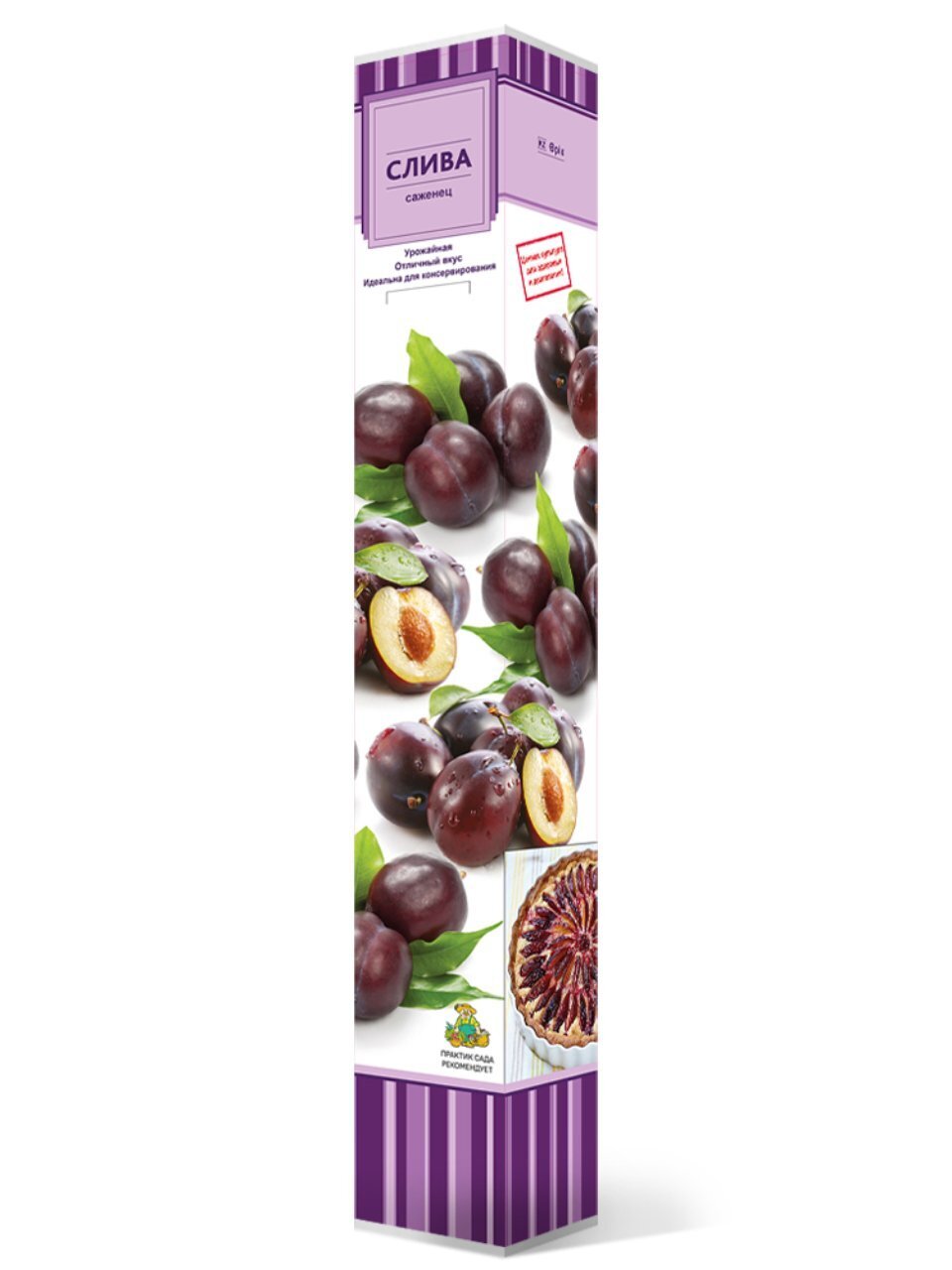 Саженцы Слива, Заречная ранняя, 762938