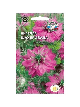 Шахеризада