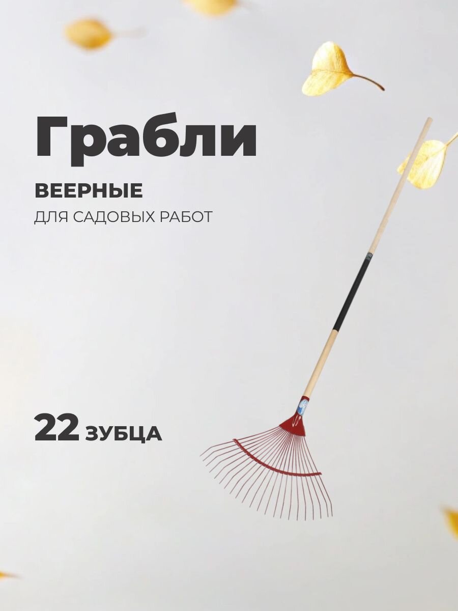 Грабли веерные, 22 зуб, оцинкованные, Модерн, проволочные, окрашенные/оцинкованые, черенок деревянный