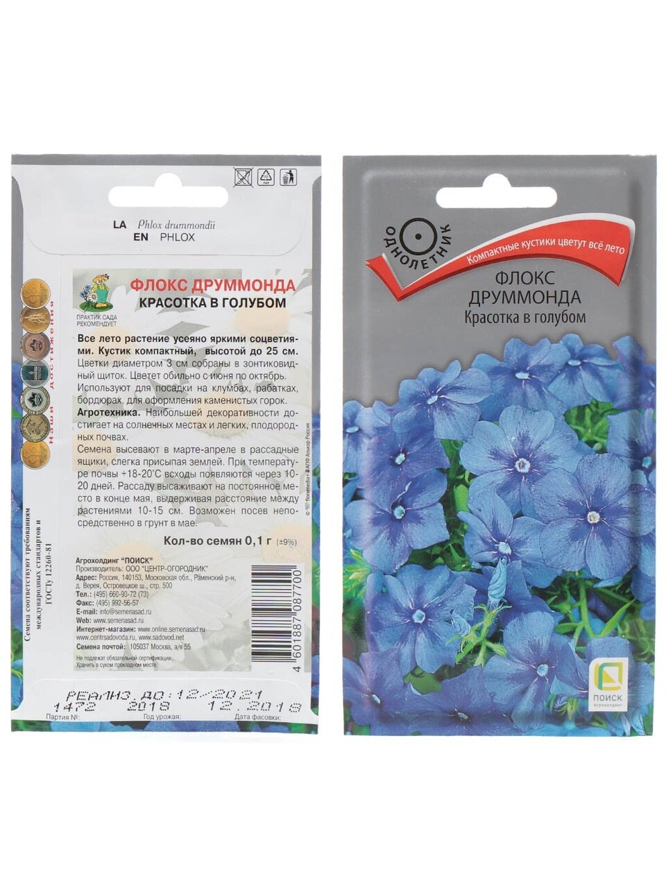 Семена Цветы, Флокс, Друммонда Красотка в голубом, 0.1 г, цветная упаковка, Поиск