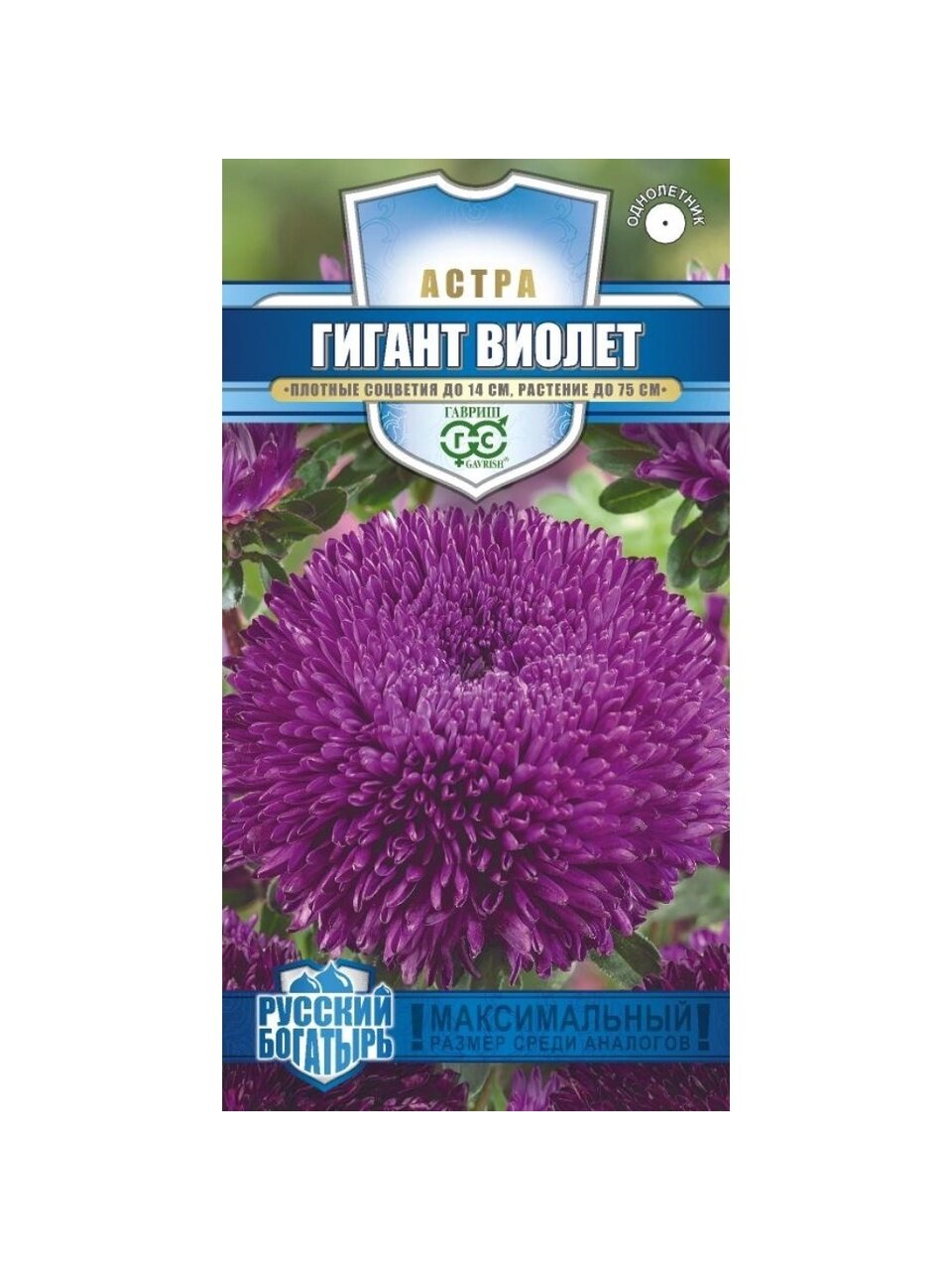 Семена Цветы, Астра, Гигант виолет, 0.05 г, Русский богатырь, однолетняя, игольчато-коготковая, цветная упаковка, Гавриш