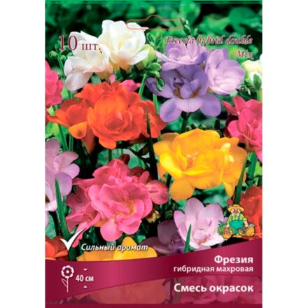 Луковицы Фрезия гибридная махровая, смесь окрасок, 10 шт