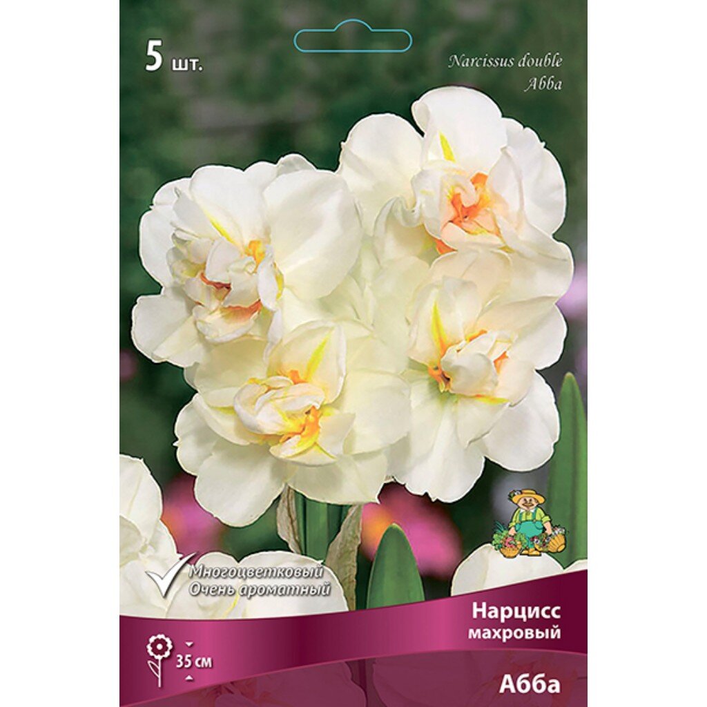 Луковицы Нарцисс махровый, Абба, 12-14/К, 5 шт