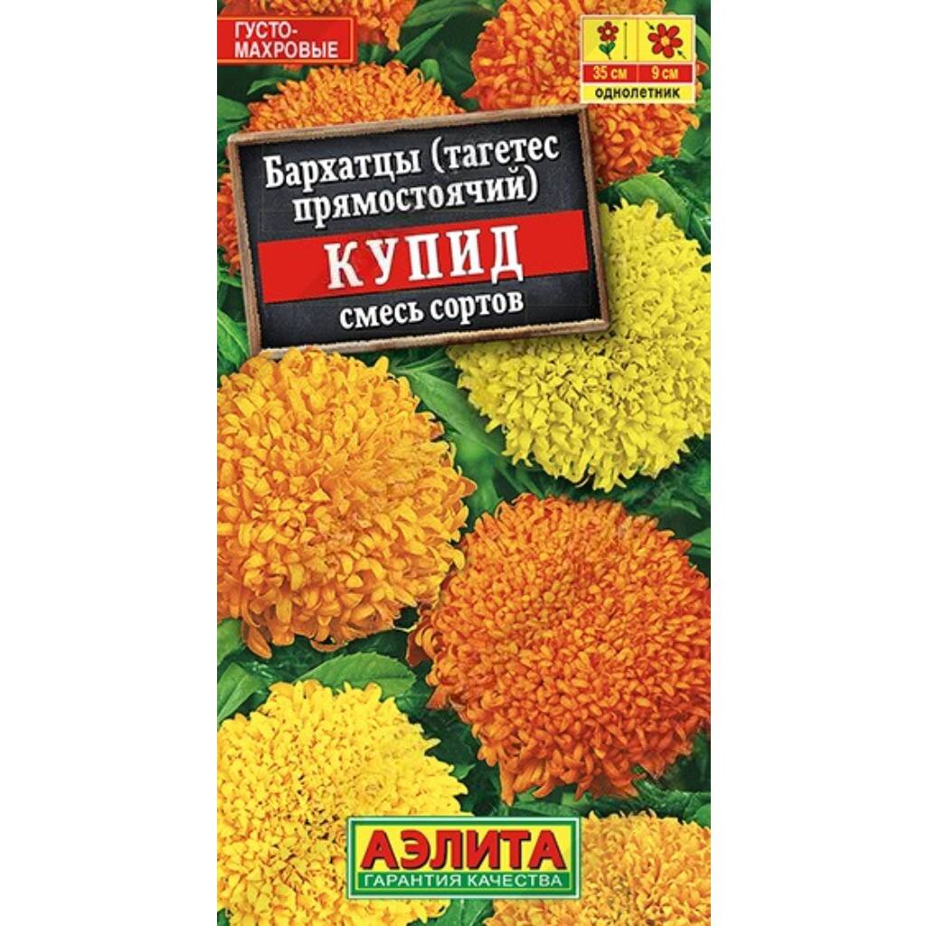 Семена Цветы, Бархатцы, Купид хризантемовидные, 0.1 г, цветная упаковка ...