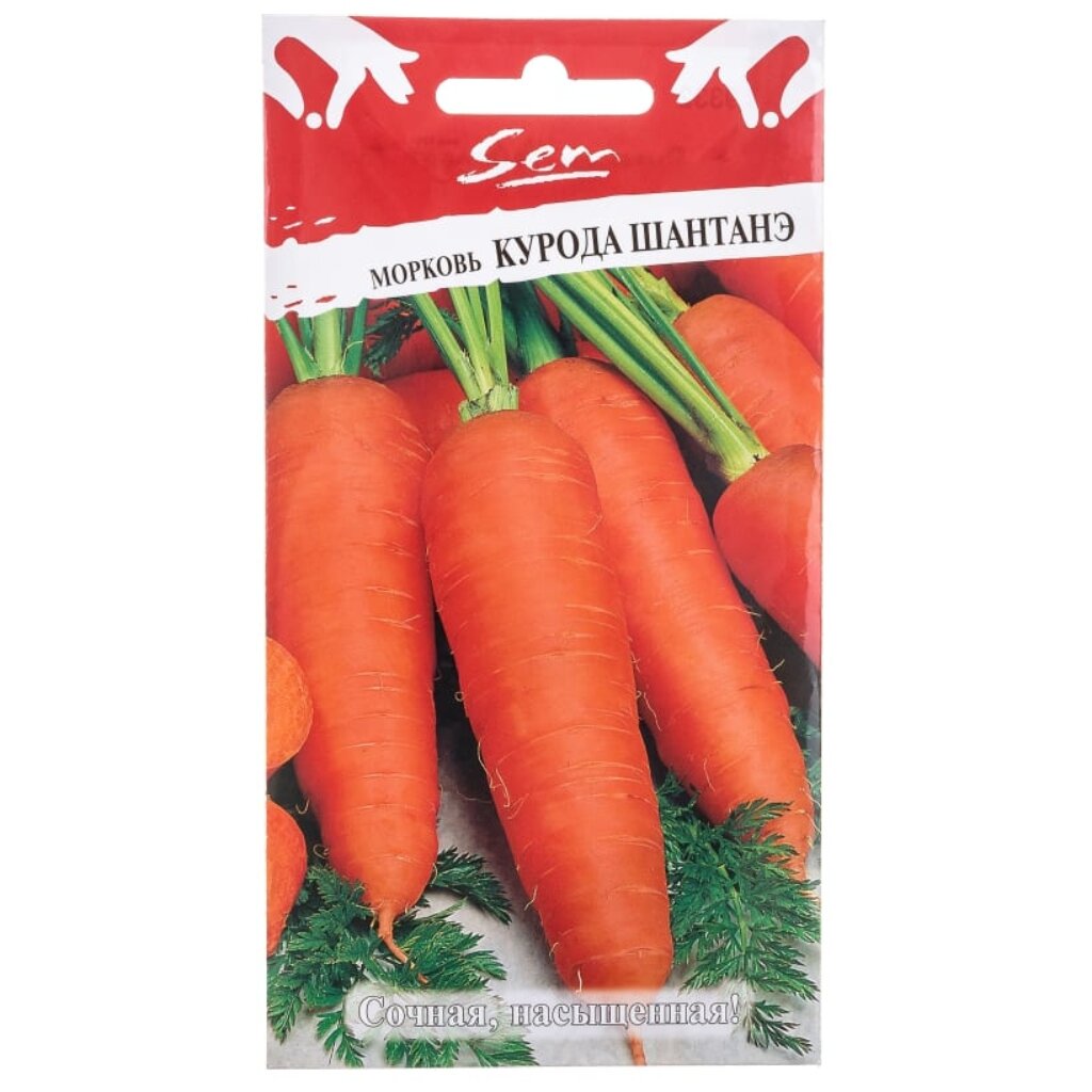 Семена Морковь, Курода Шантанэ, 2 г, цветная упаковка, Русский огород