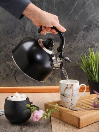 Чайник нержавеющая сталь, 2.5 л, со свистком, матовый, ручка металлическая, Daniks, индукция, черный, GS-04001