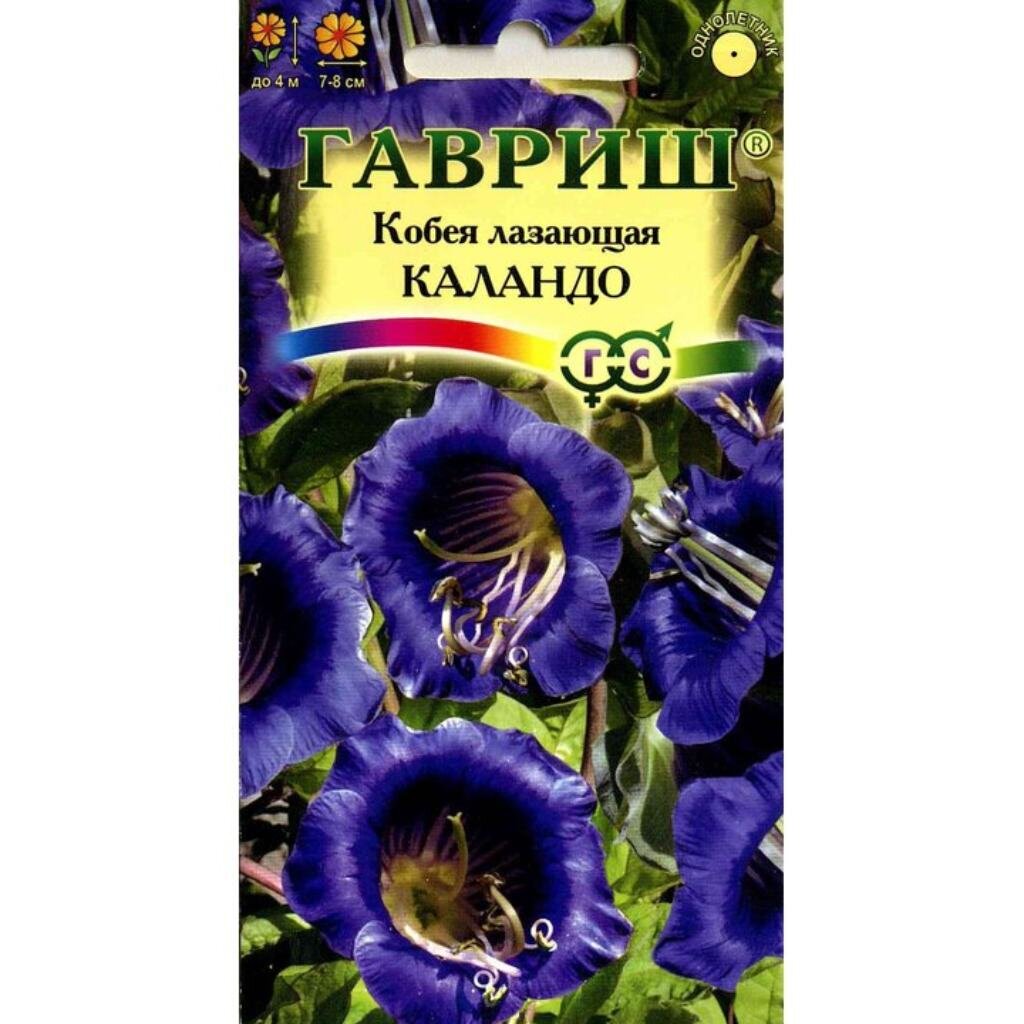 Семена Цветы, Кобея, Лазающая Каландо, 5 шт, цветная упаковка, Гавриш