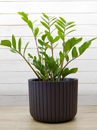 Кашпо пластик, 8 л, 25х20 см, коричневый ротанг, Idea, Шато, М 3039