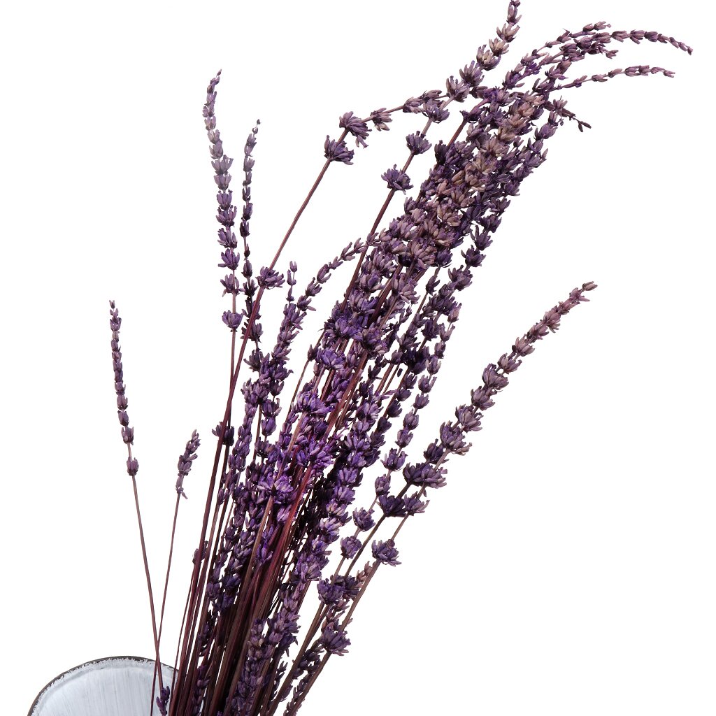 Цветок искусственный декоративный Лаванда, фиолетовый, Y4-5316 ок искусственный декоративный лаванда 85 см y4 3510