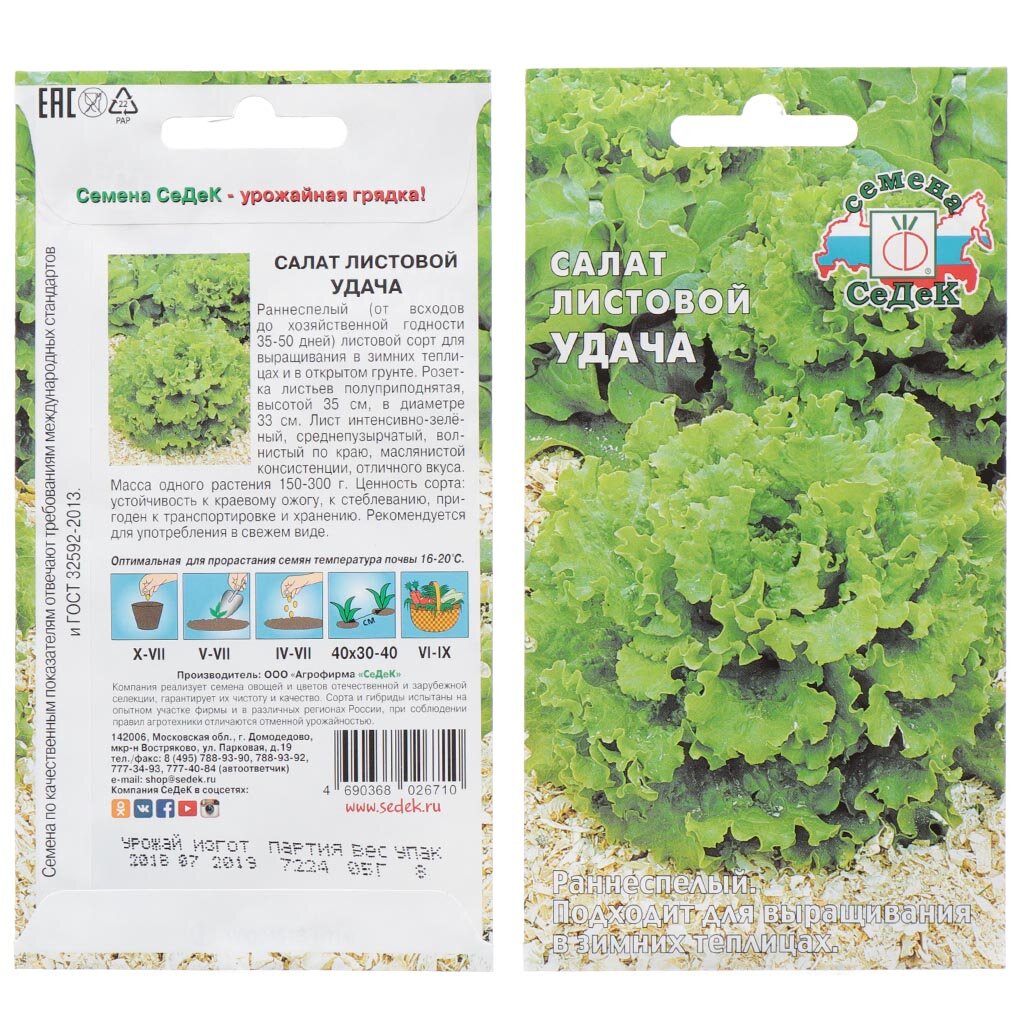 Семена Салат листовой, Удача, 0.5 г, цветная упаковка, Седек семена салат листовой русич 1 г ная упаковка поиск