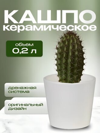 0.2 л