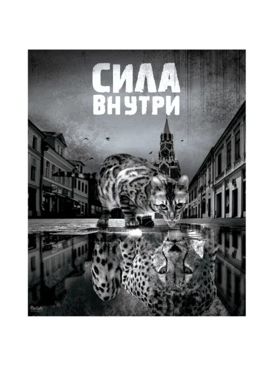 Картина холст, 50х40 см, Милый хищник, kt45-13375