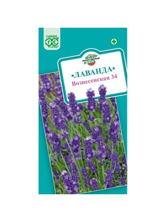Семена Цветы, Лаванда, Вознесенская 34, 0.05 г, узколистная, цветная упаковка, Гавриш