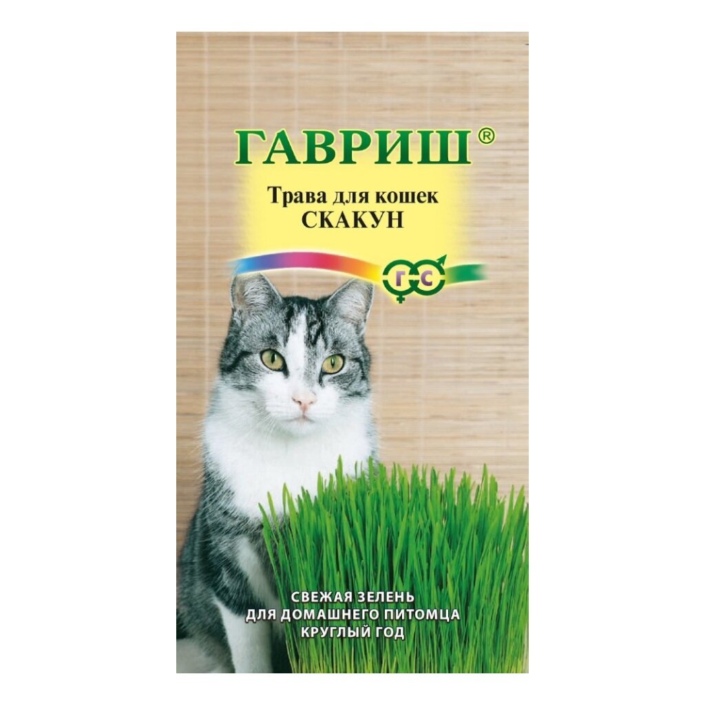 Семена Трава для кошек, Скакун, 10 г, цветная упаковка, Гавриш лоток для кошек сибирская кошка пэтти с низким бортом в ассортименте 33 х 23 5 х 6 см