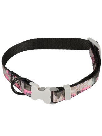 с ошейником