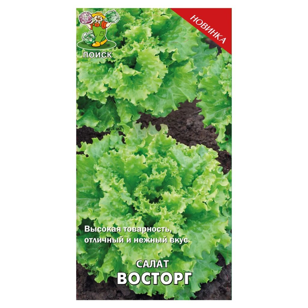 Семена Салат листовой, Восторг, 1 г, цветная упаковка, Поиск семена салат листовой geolia лолло росса