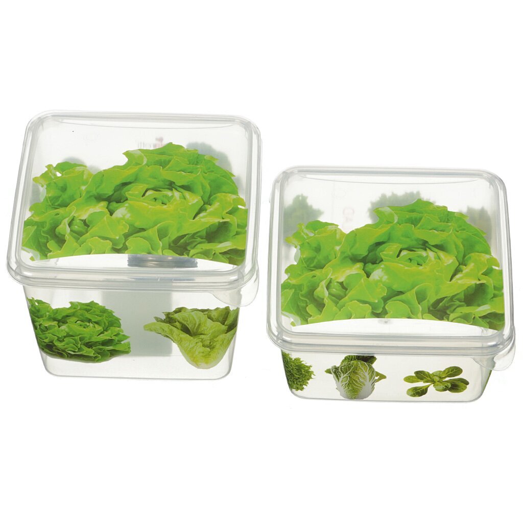 Конт д/СВЧ и заморозки набор 2-предм Браво квадратный (0,45/0,75л) салат GR1071СЛТ