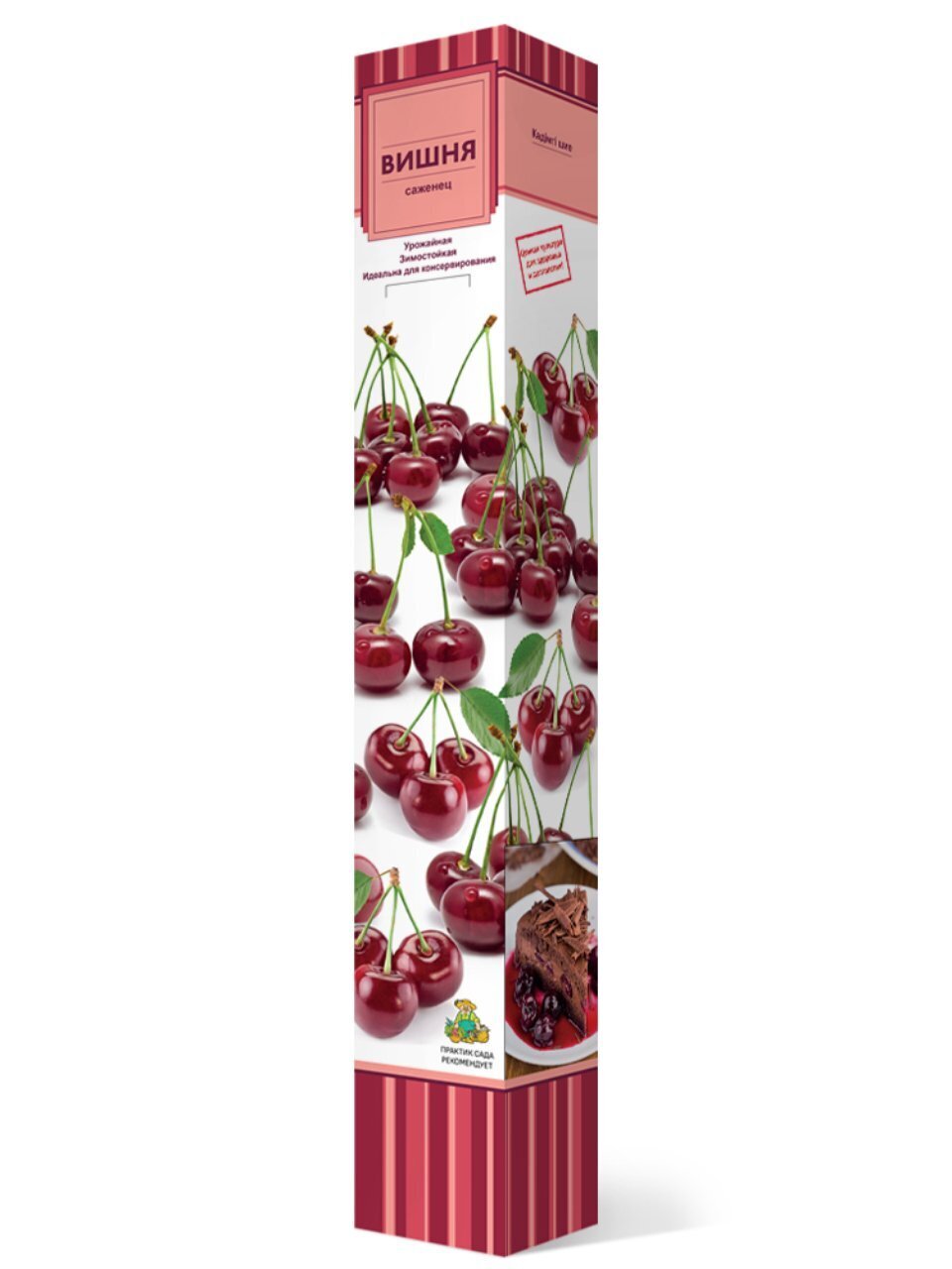 Саженцы Вишня, Магалебская, в коробке, подвой семенные, 846947