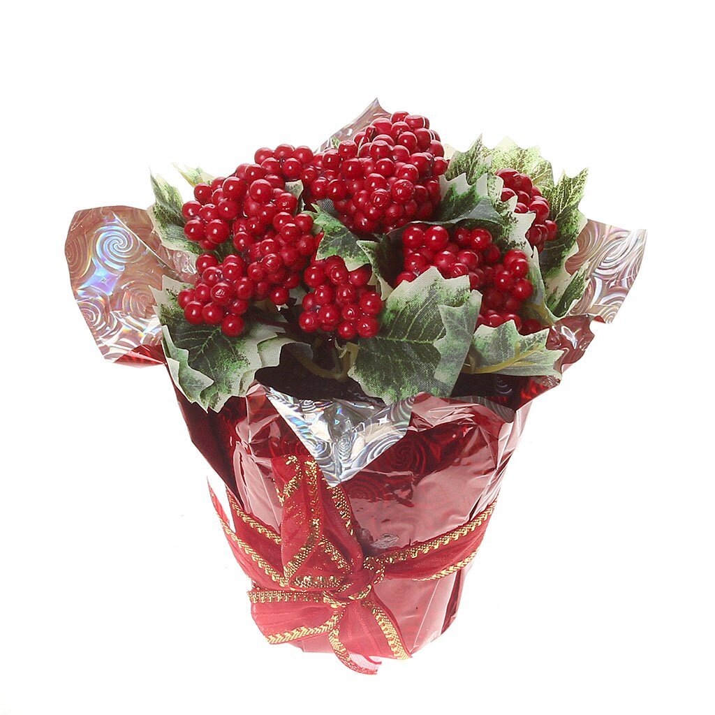 Украшение интерьера Marko Ferenzo Modish Красные ягоды 50702, 25 см