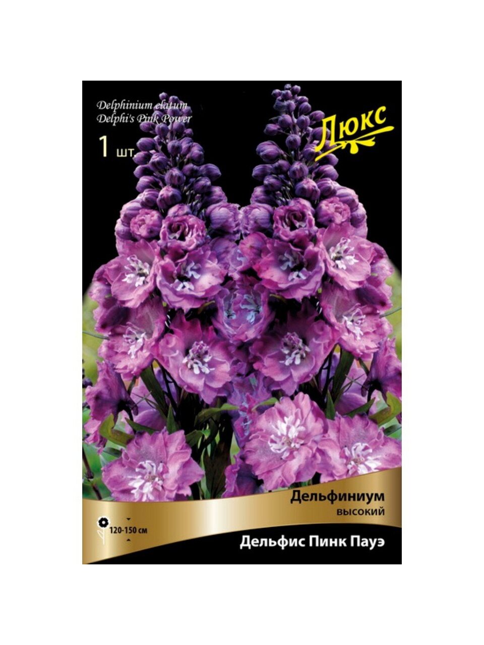 Корневище Дельфиниум высокое, Дельфис Пинк Пауэ