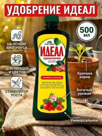 500 мл