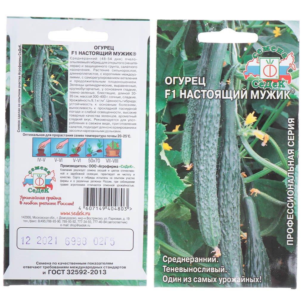 Семена Огурец, Настоящий Мужик F1, 0.2 г, цветная упаковка, Седек семена огурец отело f1 пч ц п 10шт
