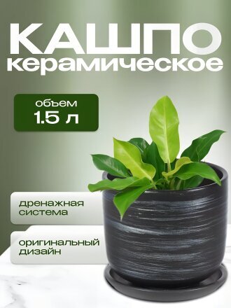 серый