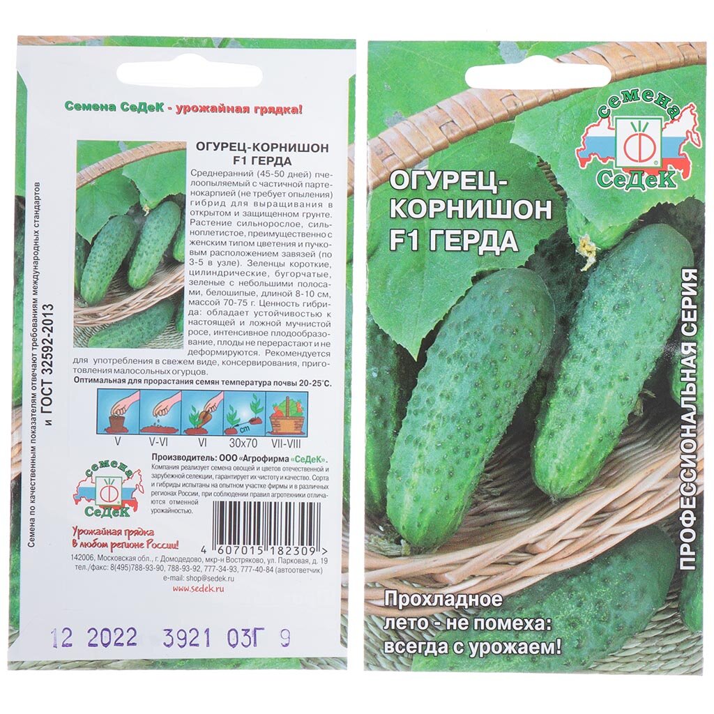 Семена Огурец, Герда F1, 0.3 г, цветная упаковка, Седек семена огурец отело f1 пч ц п 10шт