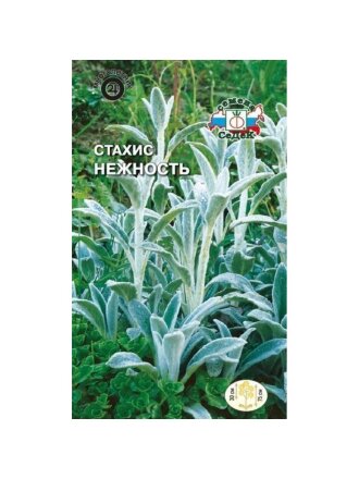 Семена Цветы, Стахис, Нежность, цветная упаковка, Седек