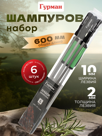 Шампур лезвие плоское, 6 шт, 600х10х2 мм, нержавеющая сталь, рукоятка дерево, Гурман, в чехле, CB2222
