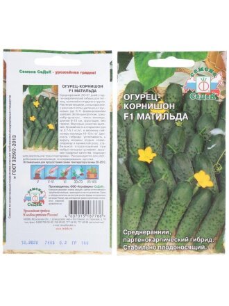 Матильда F1
