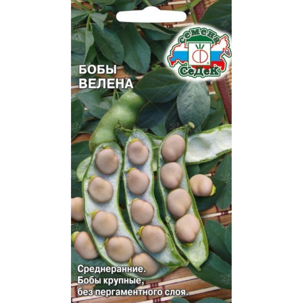 Семена Бобы, Велена, цветная упаковка, Седек