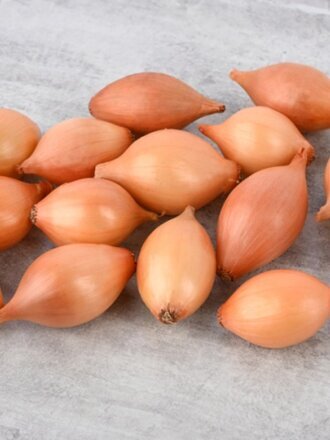 Луковицы Лук-севок, Сеттон, 1 кг