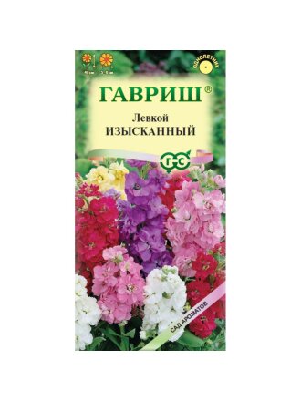 Изысканный