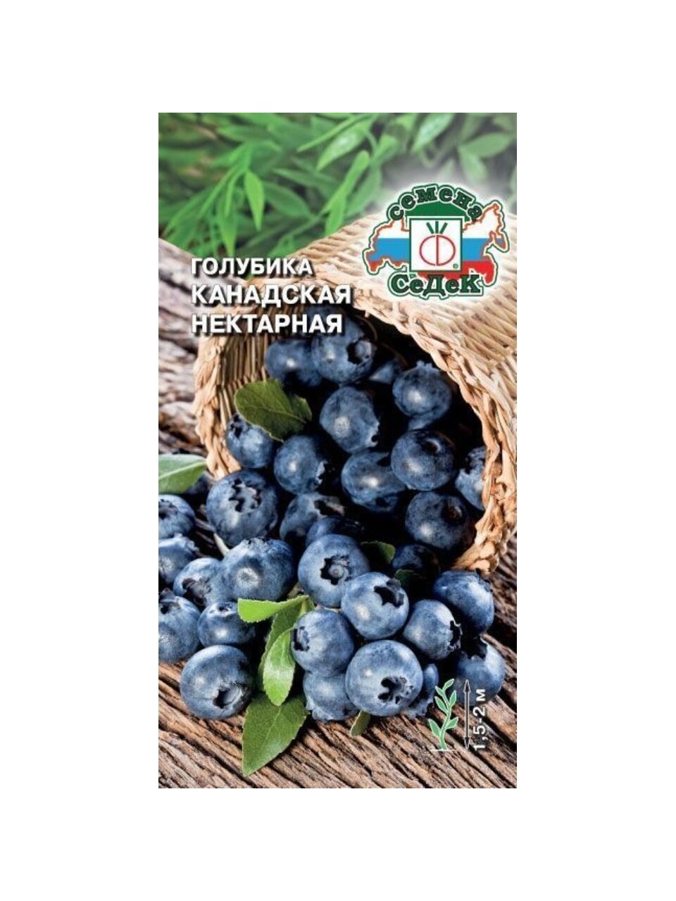 Семена Голубика, Нектарная, цветная упаковка, Седек