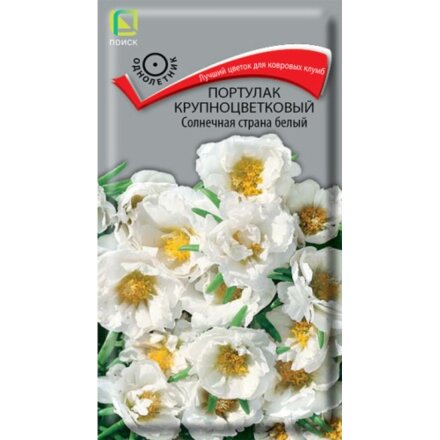 Солнечная страна белый