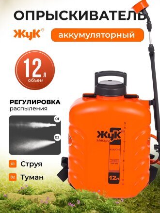 12 л